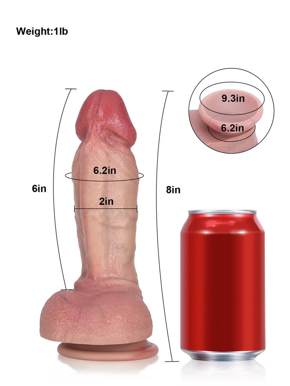 8" x 2" - Beginner Curved Dildo with Sculpted Glans and Suction