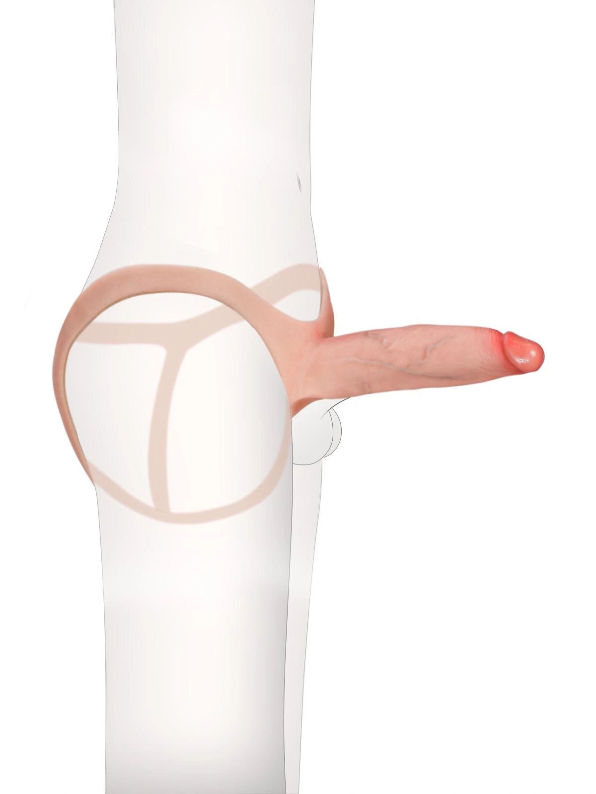 Emberfall | 7.5" x 2" Hollow Ultra Slim Open Ball Realistic Wearable Strap-On Dildo