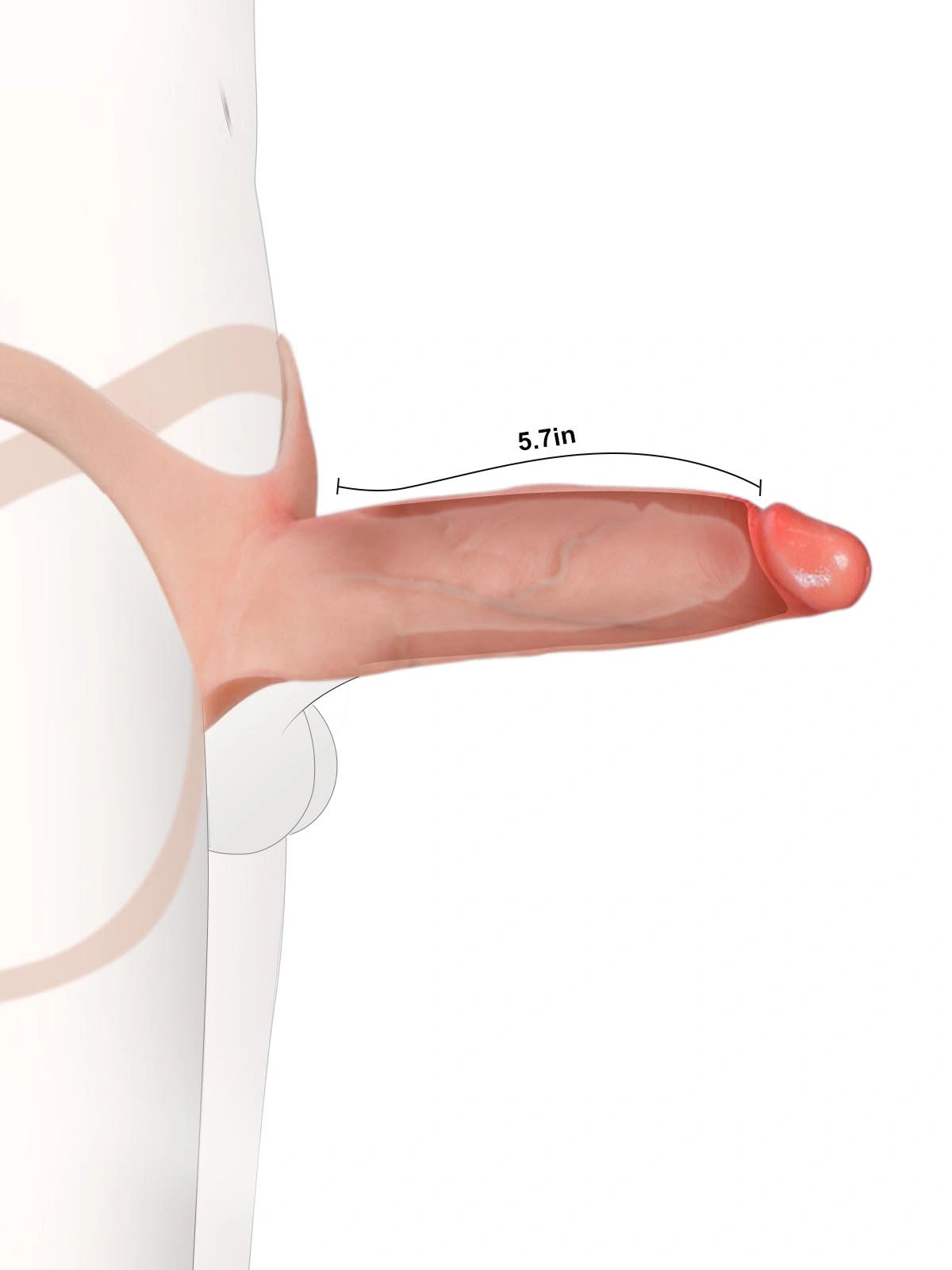 Emberfall | 7.5" x 2" Hollow Ultra Slim Open Ball Realistic Wearable Strap-On Dildo