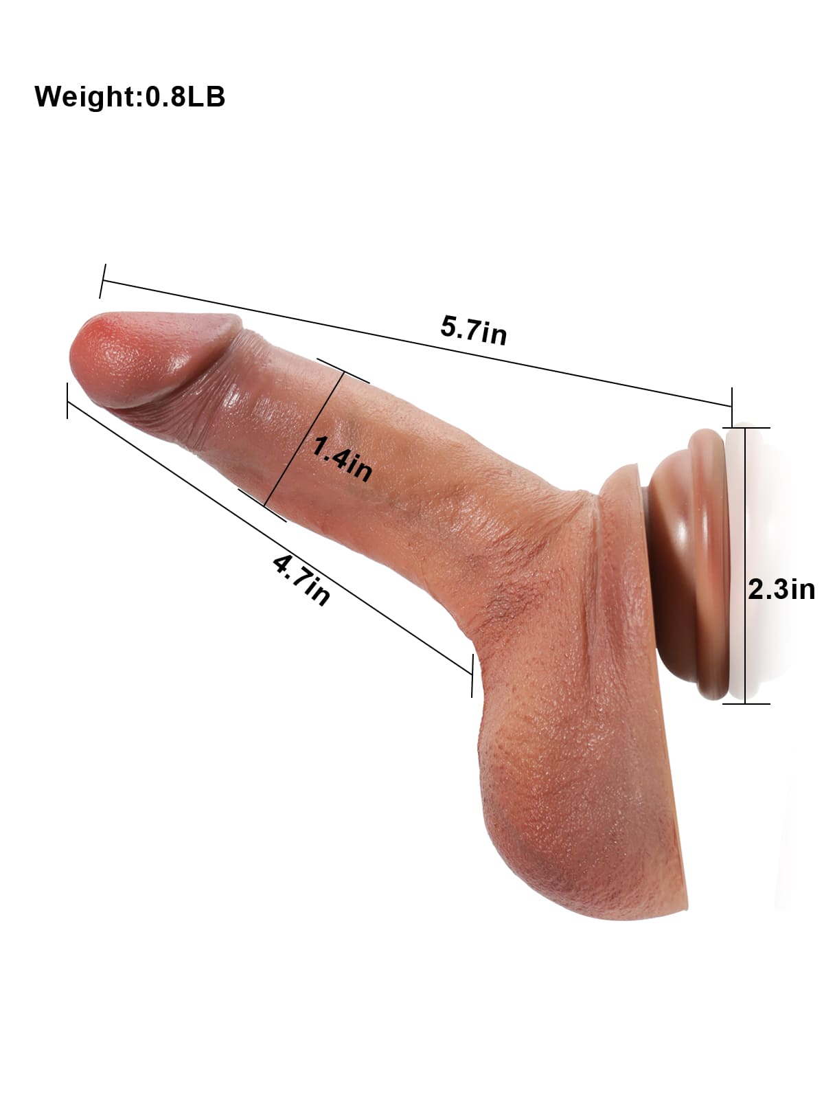 Rockwell 12" x 2.6" XL Méid Dildo Mór Tiubh Réalaíoch Le Caol Miotail