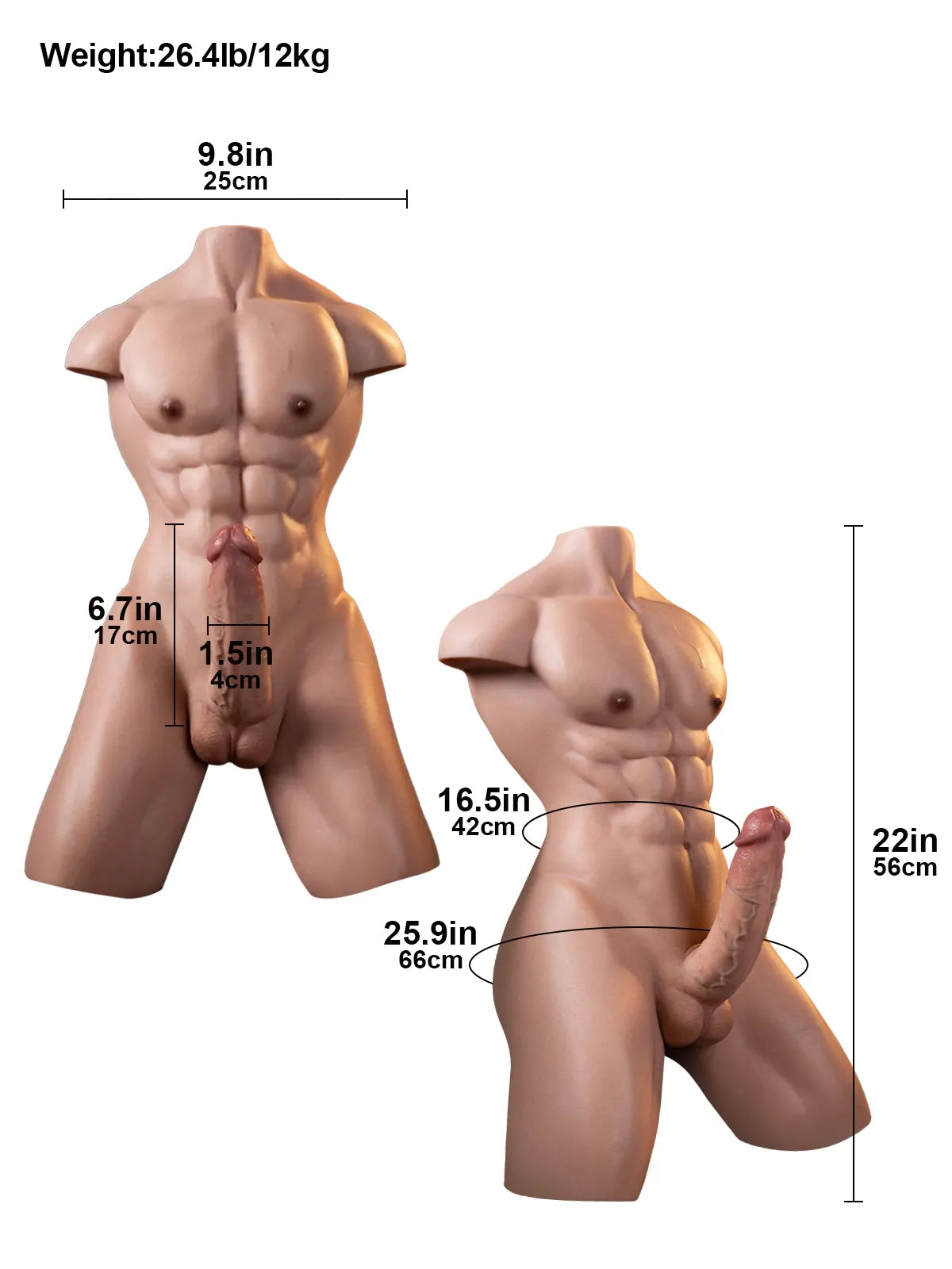 Lucas  |  6.7" x 1.5" Platinum Silicone Signature Torso Dildo with Muscular Upper Body